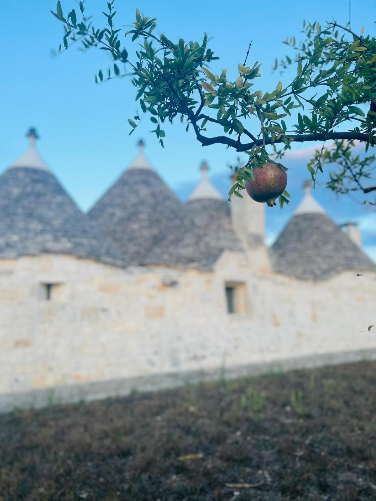 Scardino Trulli Hotel Locorotondo Ngoại thất bức ảnh